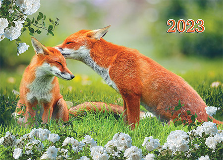 Фото карманного календаря №  43 Дикие животные