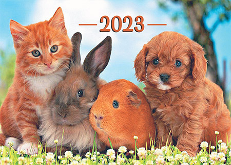 Фото карманного календаря №  57 Домашние животные