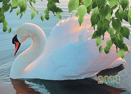 Фото карманного календаря №  92 Птицы