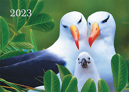 Фото карманного календаря № 101 Птицы